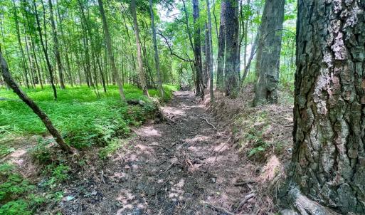 Photo #47 of SOLD property in Off Wilcox Ln, Vanceboro, NC 57.8 acres