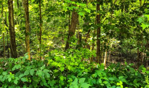 Photo #3 of SOLD property in Off Green Pasture Lane, Ruffin, NC 1.5 acres