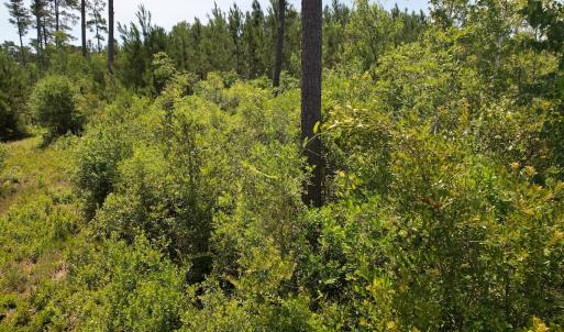 Photo #11 of Off Old Lake Road, Council, NC 2.4 acres