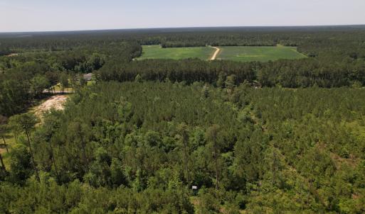 Photo #14 of Off Old Lake Road, Council, NC 2.4 acres