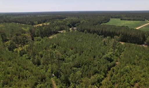 Photo #4 of Off Old Lake Road, Council, NC 2.4 acres