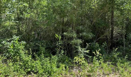 Photo #7 of Off Old Lake Road, Council, NC 2.4 acres