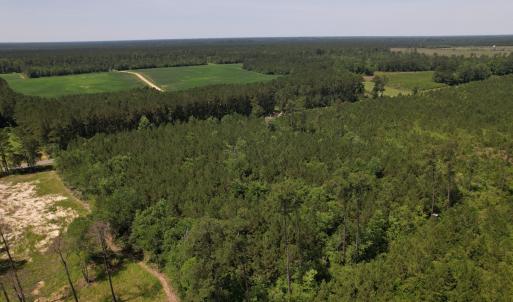 Photo #8 of Off Old Lake Road, Council, NC 2.4 acres