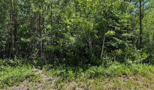 Photo #10 of Off Old Lake Road, Council, NC 2.4 acres