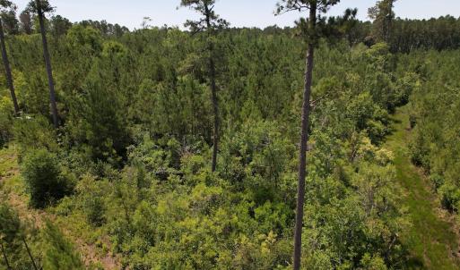 Photo #21 of Off Old Lake Road, Council, NC 2.4 acres