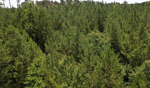 Photo #22 of Off Old Lake Road, Council, NC 2.4 acres