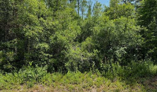 Photo #23 of Off Old Lake Road, Council, NC 2.4 acres