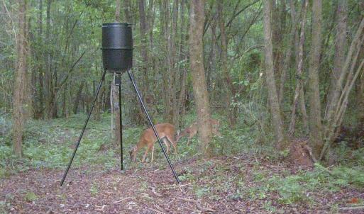 Photo #31 of SOLD property in Off Hwy 50, Rose Hill, NC 8.5 acres