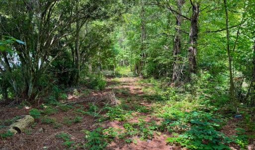 Photo #10 of SOLD property in Off Two Mile Desert Road, Hertford, NC 12.0 acres