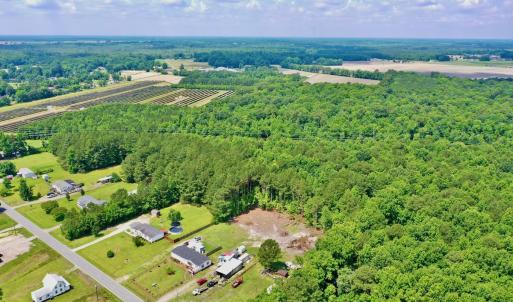 Photo #13 of SOLD property in Off Two Mile Desert Road, Hertford, NC 12.0 acres