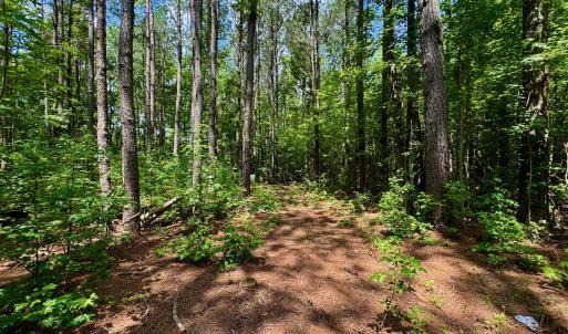 Photo #14 of SOLD property in Off Two Mile Desert Road, Hertford, NC 12.0 acres