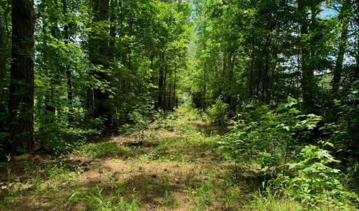 Photo #20 of SOLD property in Off Two Mile Desert Road, Hertford, NC 12.0 acres