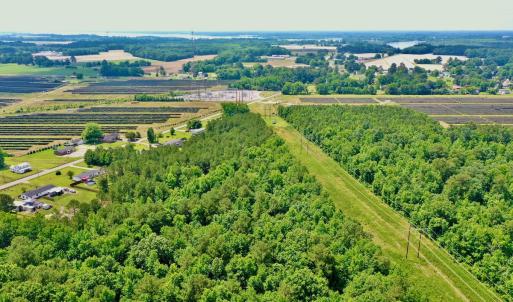 Photo #5 of SOLD property in Off Two Mile Desert Road, Hertford, NC 12.0 acres