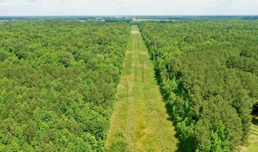 Photo #7 of SOLD property in Off Two Mile Desert Road, Hertford, NC 12.0 acres