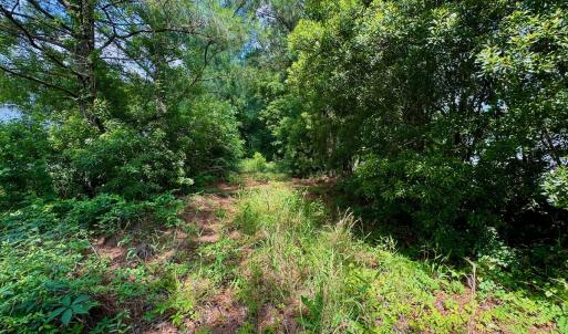 Photo #22 of SOLD property in Off Two Mile Desert Road, Hertford, NC 12.0 acres