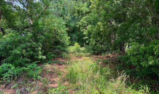 Photo #24 of SOLD property in Off Two Mile Desert Road, Hertford, NC 12.0 acres