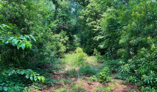 Photo #26 of SOLD property in Off Two Mile Desert Road, Hertford, NC 12.0 acres