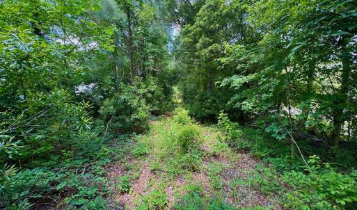 Photo #30 of SOLD property in Off Two Mile Desert Road, Hertford, NC 12.0 acres