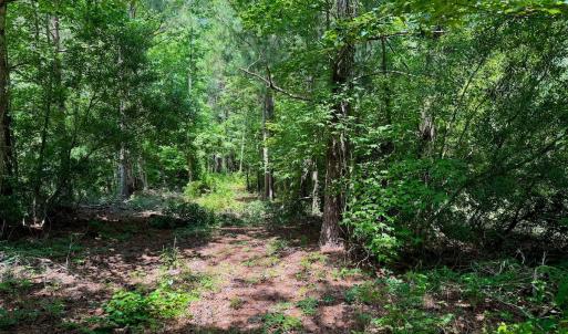 Photo #32 of SOLD property in Off Two Mile Desert Road, Hertford, NC 12.0 acres