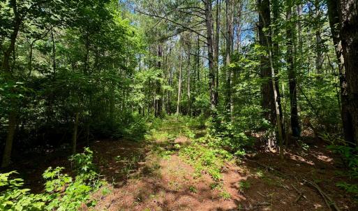 Photo #34 of SOLD property in Off Two Mile Desert Road, Hertford, NC 12.0 acres