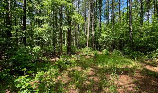 Photo #36 of SOLD property in Off Two Mile Desert Road, Hertford, NC 12.0 acres