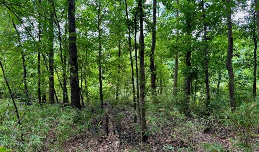 Photo #43 of SOLD property in Off Two Mile Desert Road, Hertford, NC 12.0 acres