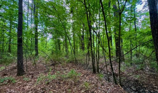 Photo #44 of SOLD property in Off Two Mile Desert Road, Hertford, NC 12.0 acres