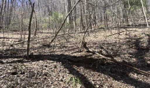 Photo #24 of Off Olde Stone Rd Lot 47, Crumpler, NC 5.3 acres