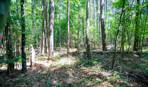 Photo #11 of SOLD property in Off Mays Chapel Rd, Bear Creek, NC 0.8 acres