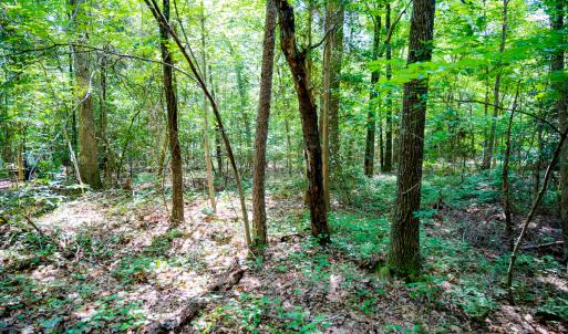 Photo #12 of SOLD property in Off Mays Chapel Rd, Bear Creek, NC 0.8 acres