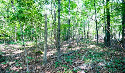 Photo #18 of SOLD property in Off Mays Chapel Rd, Bear Creek, NC 0.8 acres