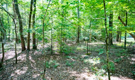 Photo #19 of SOLD property in Off Mays Chapel Rd, Bear Creek, NC 0.8 acres