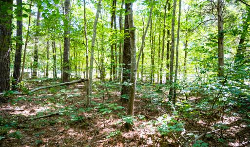 Photo #6 of SOLD property in Off Mays Chapel Rd, Bear Creek, NC 0.8 acres
