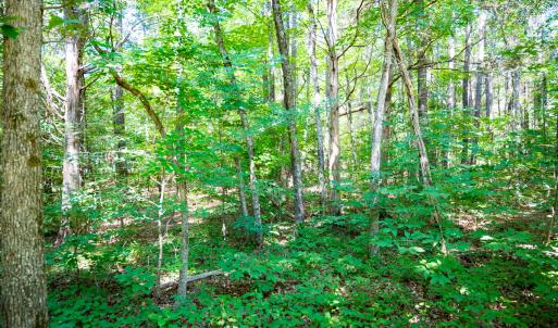 Photo #8 of SOLD property in Off Mays Chapel Rd, Bear Creek, NC 0.8 acres