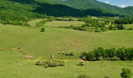 Photo #26 of SOLD property in 127 Albert Farm Rd, Monroe, VA 225.2 acres