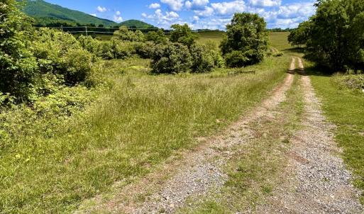 Photo #34 of SOLD property in 127 Albert Farm Rd, Monroe, VA 225.2 acres