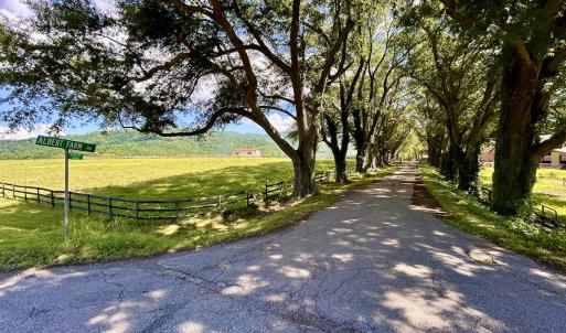 Photo #6 of SOLD property in 127 Albert Farm Rd, Monroe, VA 225.2 acres