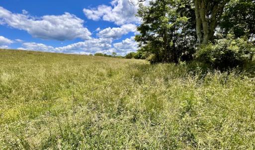 Photo #42 of SOLD property in 127 Albert Farm Rd, Monroe, VA 225.2 acres