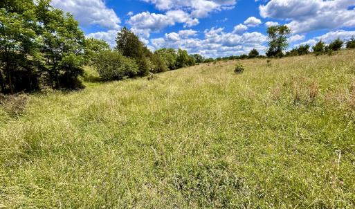Photo #43 of SOLD property in 127 Albert Farm Rd, Monroe, VA 225.2 acres