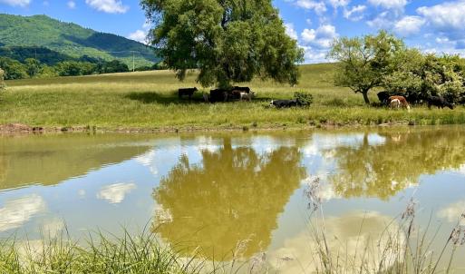 Photo #51 of SOLD property in 127 Albert Farm Rd, Monroe, VA 225.2 acres