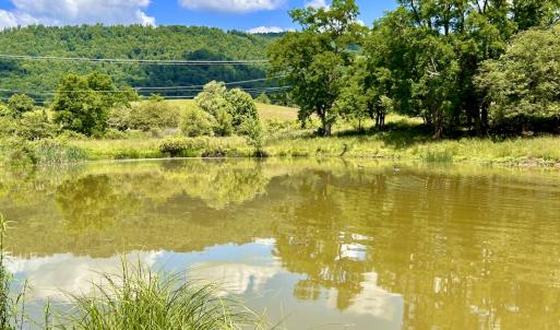 Photo #53 of SOLD property in 127 Albert Farm Rd, Monroe, VA 225.2 acres