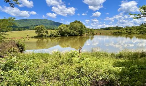 Photo #54 of SOLD property in 127 Albert Farm Rd, Monroe, VA 225.2 acres