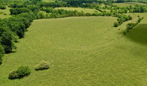 Photo #70 of SOLD property in 127 Albert Farm Rd, Monroe, VA 225.2 acres