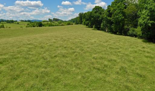 Photo #71 of SOLD property in 127 Albert Farm Rd, Monroe, VA 225.2 acres