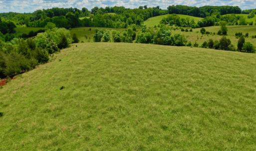 Photo #72 of SOLD property in 127 Albert Farm Rd, Monroe, VA 225.2 acres