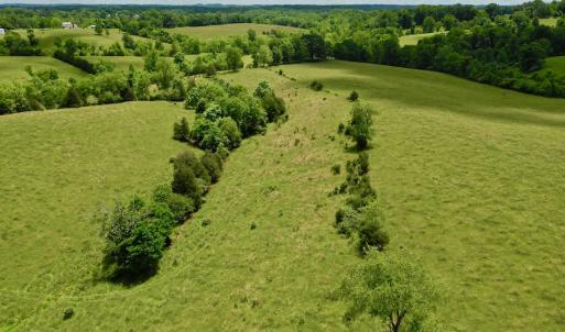 Photo #73 of SOLD property in 127 Albert Farm Rd, Monroe, VA 225.2 acres