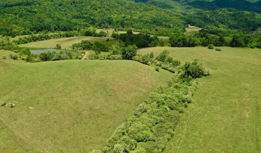 Photo #76 of SOLD property in 127 Albert Farm Rd, Monroe, VA 225.2 acres