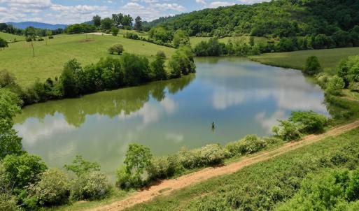 Photo #82 of SOLD property in 127 Albert Farm Rd, Monroe, VA 225.2 acres