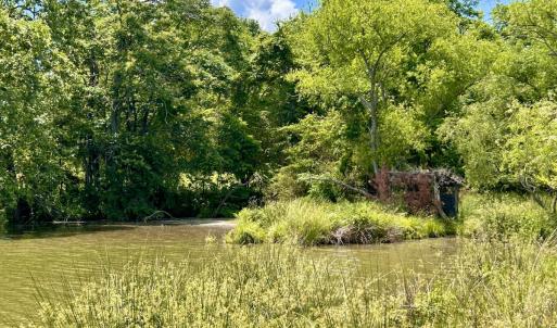 Photo #85 of SOLD property in 127 Albert Farm Rd, Monroe, VA 225.2 acres