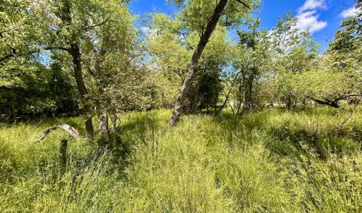 Photo #86 of SOLD property in 127 Albert Farm Rd, Monroe, VA 225.2 acres